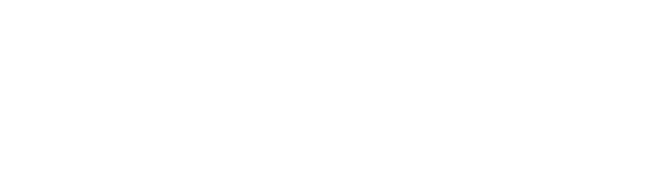 DataLoGi